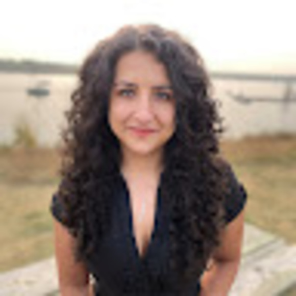 Meet your Posher, Sepidar - Picture 1 of 1